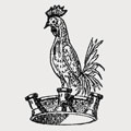 Cockeine family crest, coat of arms