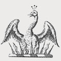 Woodcock family crest, coat of arms