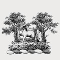Shepherd-Cross family crest, coat of arms