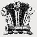 Nicholas family crest, coat of arms