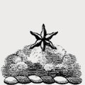 Stodart family crest, coat of arms