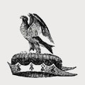 Jordayne family crest, coat of arms