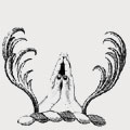 Prain family crest, coat of arms