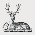 Loveland family crest, coat of arms
