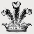 Surtes family crest, coat of arms