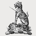 Nicolson family crest, coat of arms