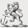 Ihones family crest, coat of arms