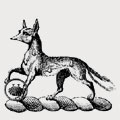 Colton-Fox family crest, coat of arms