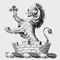 Todd family crest, coat of arms