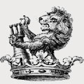 Rawston family crest, coat of arms