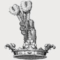 Tolson family crest, coat of arms