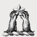 Seddon family crest, coat of arms