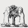 Jadewin family crest, coat of arms