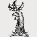 Burwell family crest, coat of arms