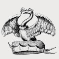 Salt family crest, coat of arms