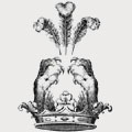 Sunger family crest, coat of arms