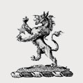 Ashton family crest, coat of arms
