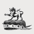 Lewcas family crest, coat of arms