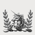 Ringer family crest, coat of arms