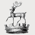 Felt family crest, coat of arms