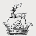 Turfeet family crest, coat of arms