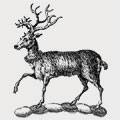 Lodge-Ellerton family crest, coat of arms