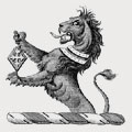 Musgrove-Musgrove family crest, coat of arms
