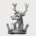 Coulcher family crest, coat of arms