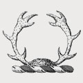 Buck family crest, coat of arms
