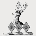 Dimond family crest, coat of arms