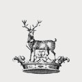 Mcguire family crest, coat of arms