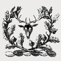 Okeden family crest, coat of arms