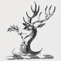 Mulchinock family crest, coat of arms