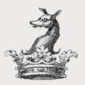 Hippisley family crest, coat of arms
