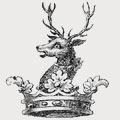 Baspoole family crest, coat of arms