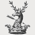 Parmiger family crest, coat of arms