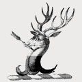 Hockenhull family crest, coat of arms