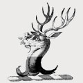 Lethbridge family crest, coat of arms