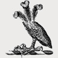 Digges family crest, coat of arms