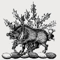 Owens family crest, coat of arms