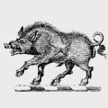Bacon family crest, coat of arms