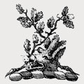 Hensley family crest, coat of arms