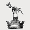 Selioke family crest, coat of arms
