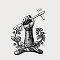 Richardson family crest, coat of arms