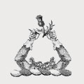 Ogg family crest, coat of arms