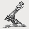 Veyner family crest, coat of arms