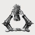 Cummins family crest, coat of arms