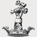 Peck family crest, coat of arms