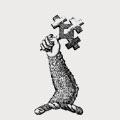 Bradbrook family crest, coat of arms