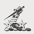 Buckeridge family crest, coat of arms